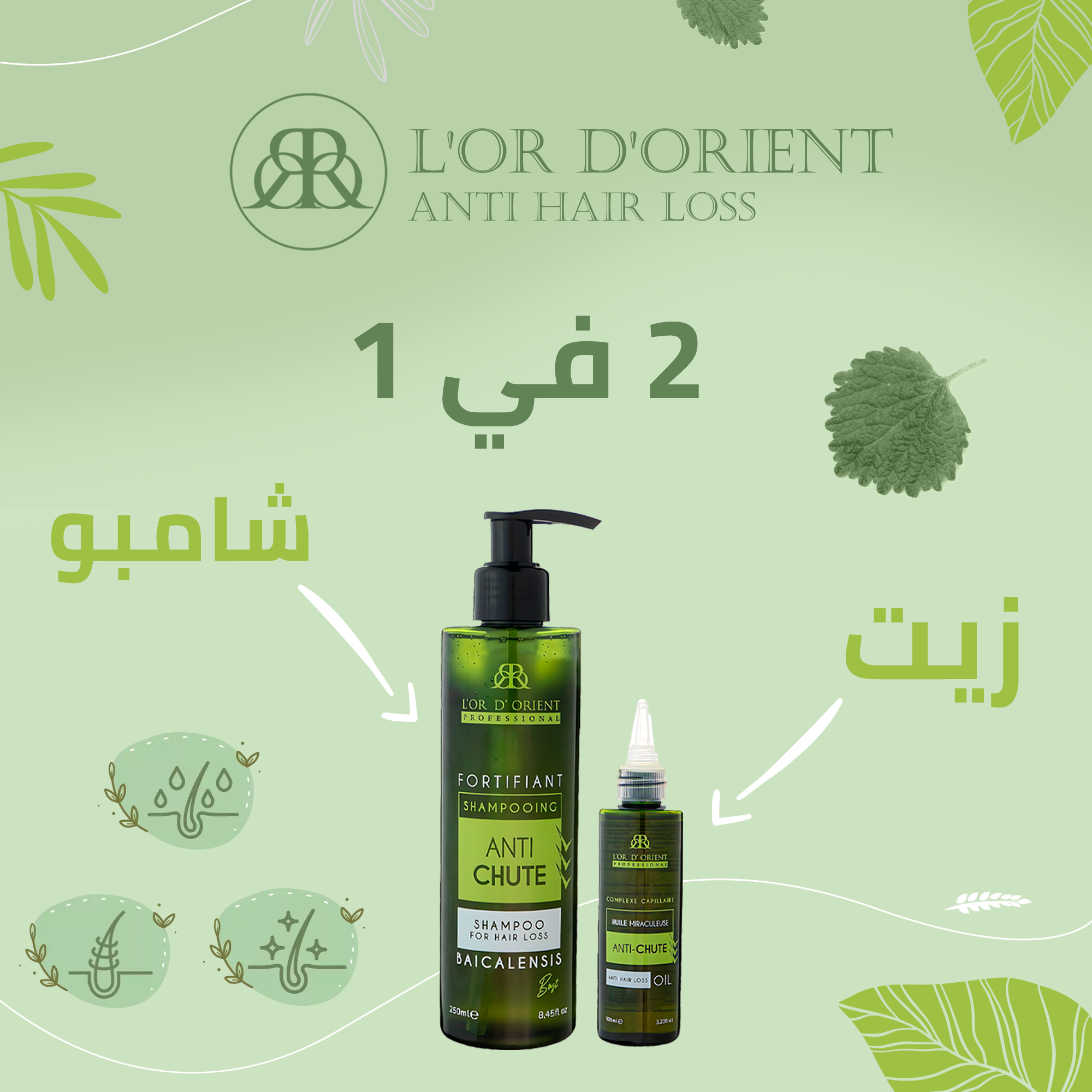 PACK-ANTI HAIR-LOSS-12 منتجات مضادة لتساقط الشعر